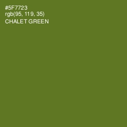 #5F7723 - Chalet Green Color Image